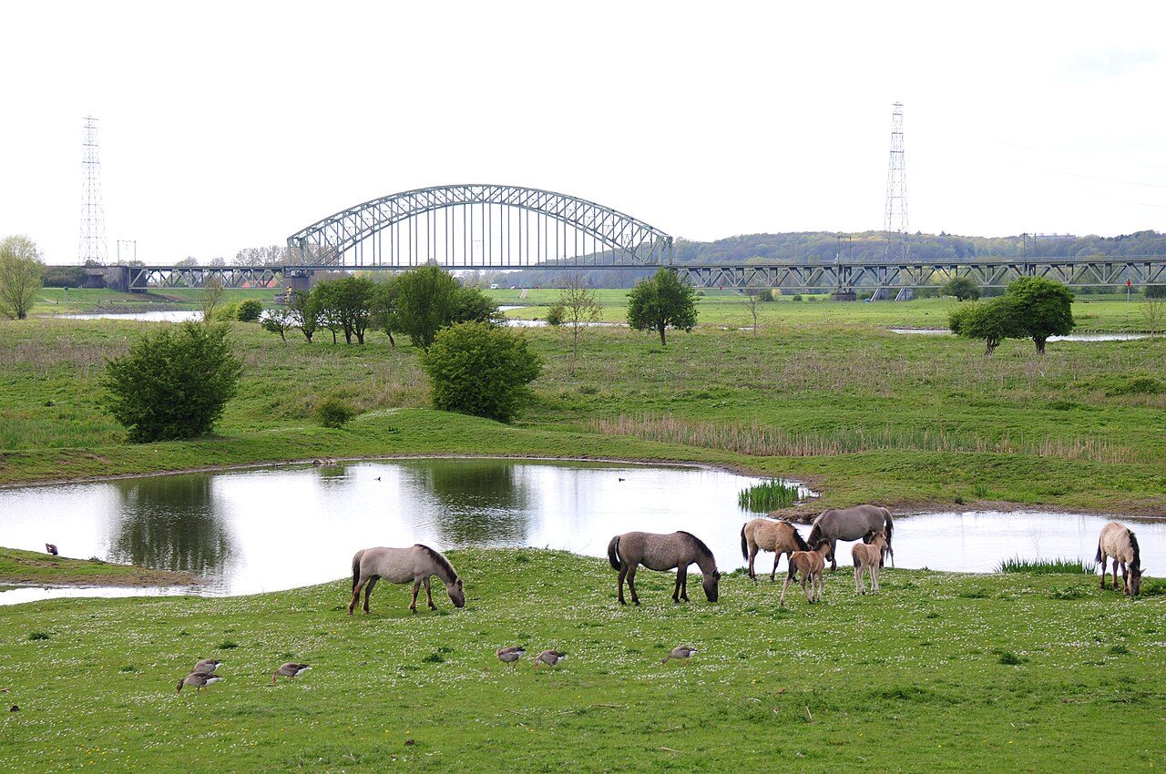Meinerswijk